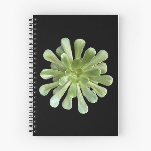 Item preview, Pretty Green Succulent Split Leaf designed and sold by SucculentLovers.