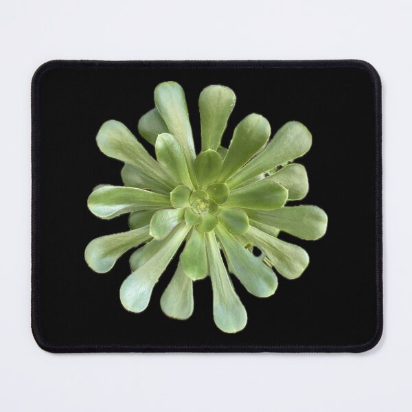 Item preview, Pretty Green Succulent Split Leaf designed and sold by SucculentLovers.