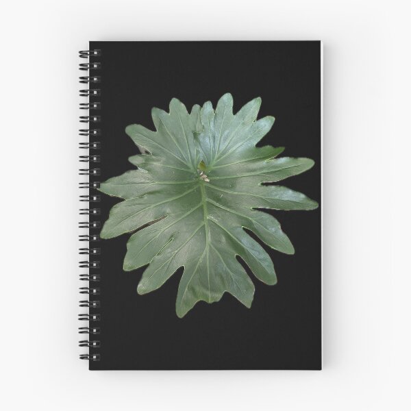 Item preview, Pretty Green Split Leaf designed and sold by SucculentLovers.