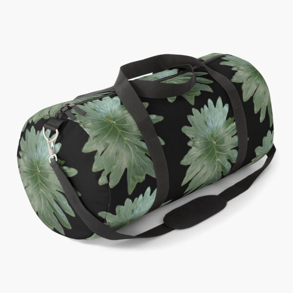 Item preview, Pretty Green Split Leaf designed and sold by SucculentLovers.