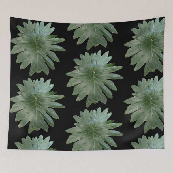 Item preview, Pretty Green Split Leaf designed and sold by SucculentLovers.