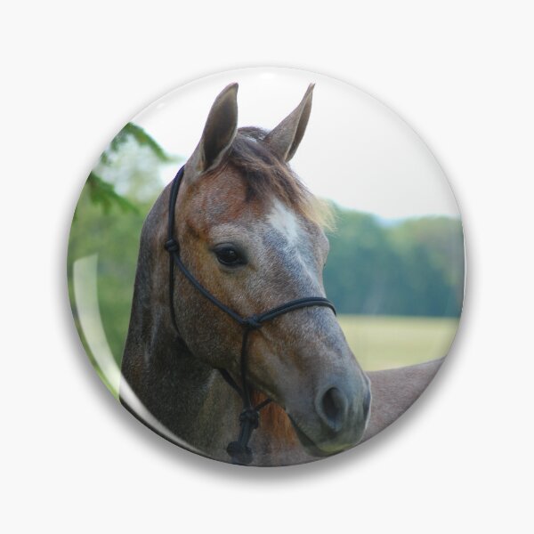 Item preview, A Filly of Many Hues designed and sold by cvferkix.