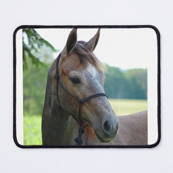 Item preview, A Filly of Many Hues designed and sold by cvferkix.