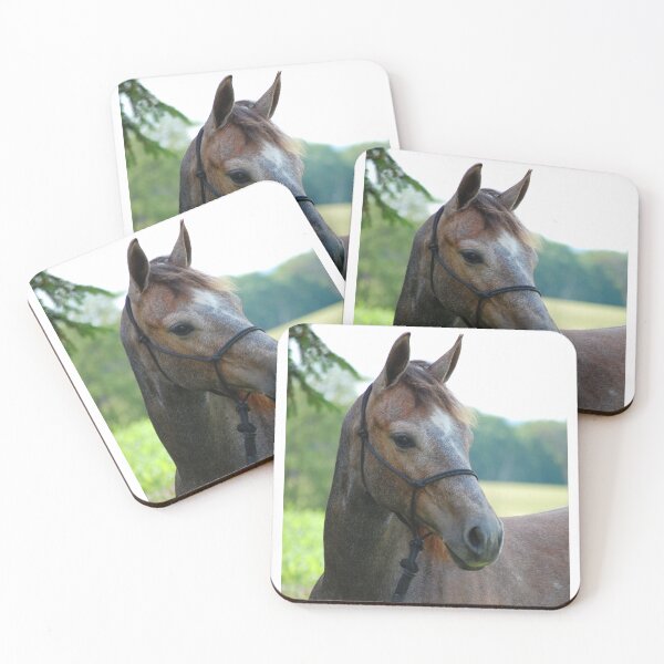 Item preview, A Filly of Many Hues designed and sold by cvferkix.