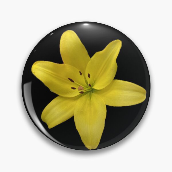 Item preview, Yellow Flower designed and sold by SucculentLovers.