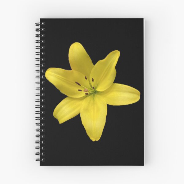 Item preview, Yellow Flower designed and sold by SucculentLovers.