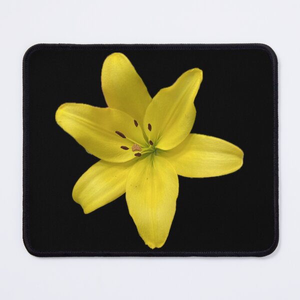 Item preview, Yellow Flower designed and sold by SucculentLovers.