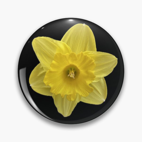 Item preview,  Yellow Flower designed and sold by SucculentLovers.