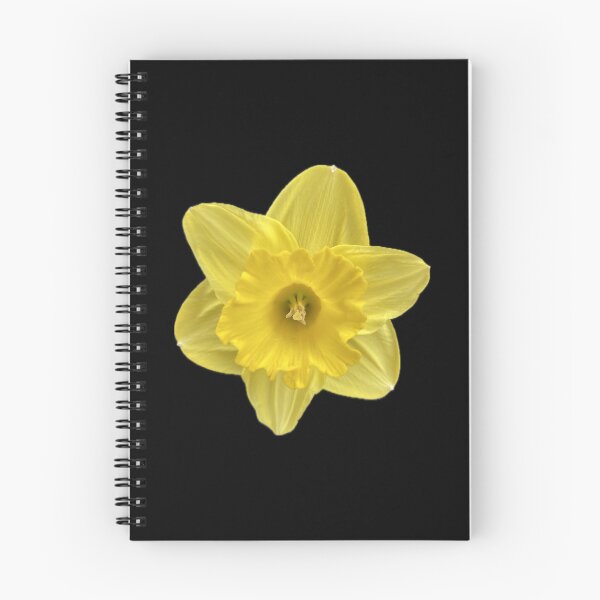 Item preview,  Yellow Flower designed and sold by SucculentLovers.