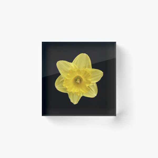 Item preview,  Yellow Flower designed and sold by SucculentLovers.