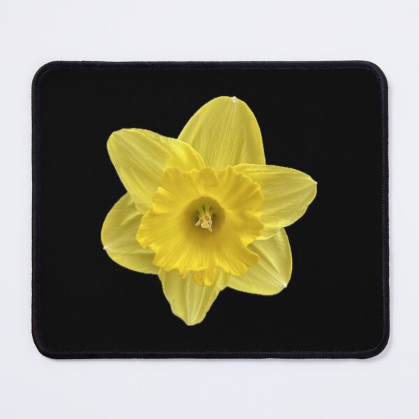 Item preview, Yellow Flower designed and sold by SucculentLovers.