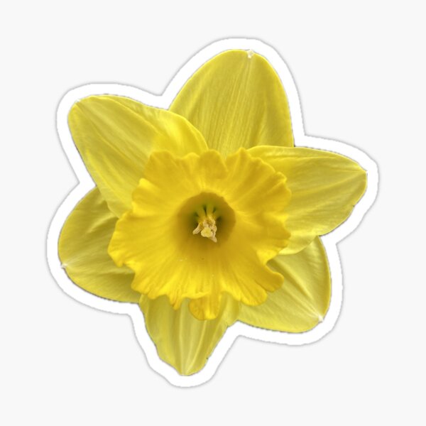 Yellow Flower Sticker