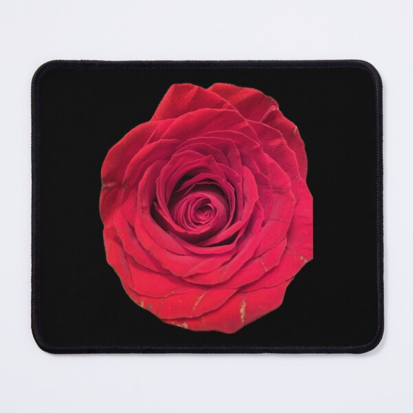Item preview, Red Rose designed and sold by SucculentLovers.
