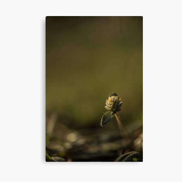 Item preview, Tiny But Mighty designed and sold by IdleImages.