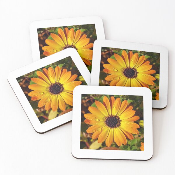 Item preview, A Beautiful African Daisy With Raindrops designed and sold by Mary Ellen Tuite.