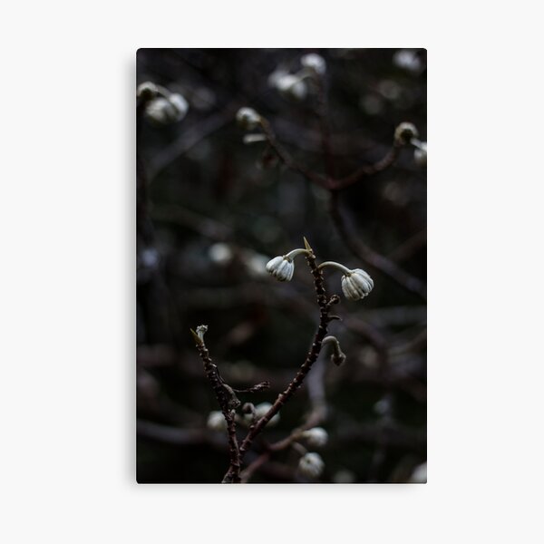 Item preview, Subtle designed and sold by IdleImages.