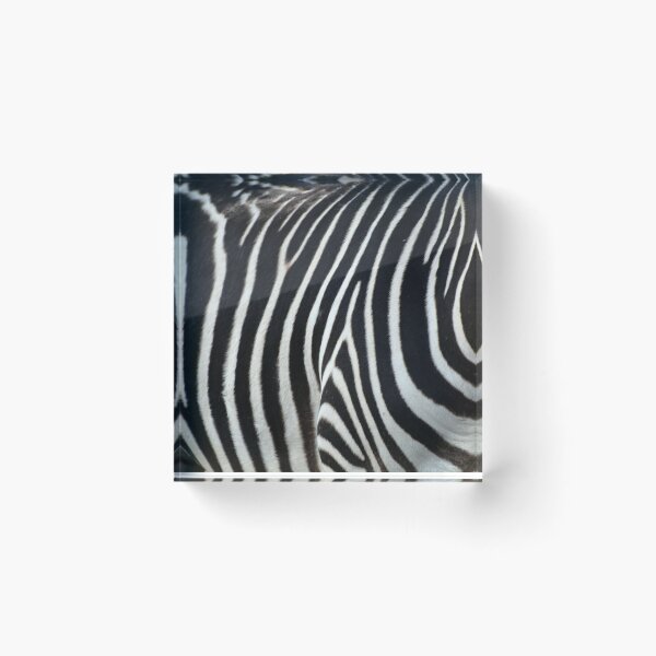 Item preview, Zebra designed and sold by Savannah Gibbs.