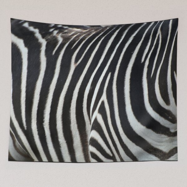 Item preview, Zebra designed and sold by Savannah Gibbs.