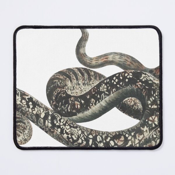 Item preview, Aesthetic gothic snake sticker designed and sold by ache73.