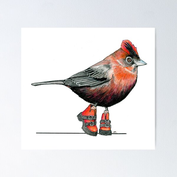 Item preview, Red Crested Finch in Buckle Boots designed and sold by JimsBirds.