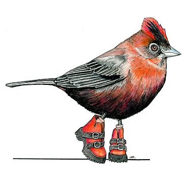 Artwork thumbnail, Red Crested Finch in Buckle Boots by JimsBirds