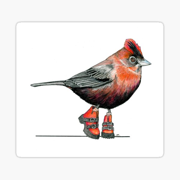Item preview, Red Crested Finch in Buckle Boots designed and sold by JimsBirds.