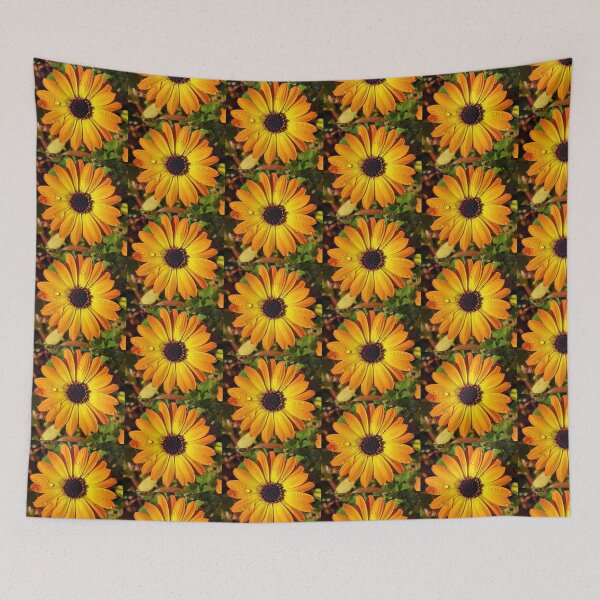 Item preview, A Beautiful African Daisy With Raindrops designed and sold by Mary Ellen Tuite.