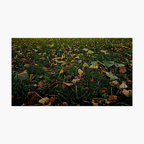 Item preview, Autumn Whispers: A Carpet of Fallen Leaves designed and sold by Kevin Schultz Photography & Such.