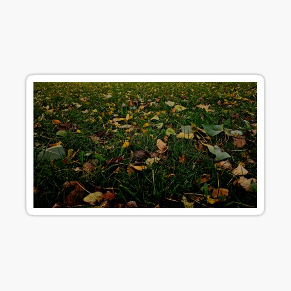 Item preview, Autumn Whispers: A Carpet of Fallen Leaves designed and sold by Kevin Schultz Photography & Such.