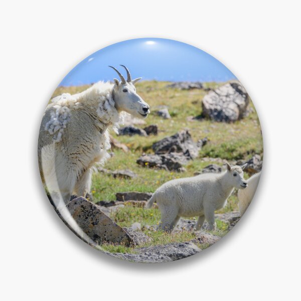 Item preview, Beartooth Pass Mountain Goats  designed and sold by JulieBarrick.