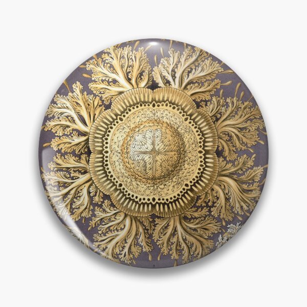 Item preview, Art Forms in Nature, Plate 28: Discomedusae - Ernst Haeckel, 1904 designed and sold by HollieMc22.