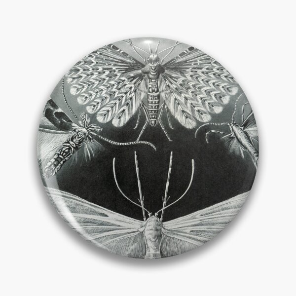 Item preview, Art Forms in Nature, Plate 58: Tineida - Ernst Haeckel, 1904 designed and sold by HollieMc22.