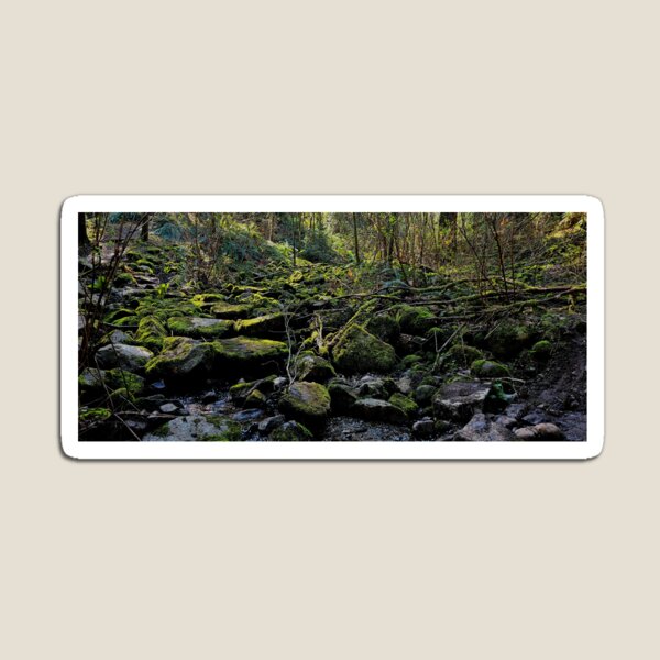 Artikelvorschau, Moosiges Waldflüstern entworfen und verkauft von Kevin Schultz Photography & Such.