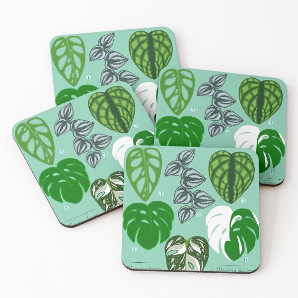 Item preview, Monstera houseplant varieties  designed and sold by VibrantByNature.