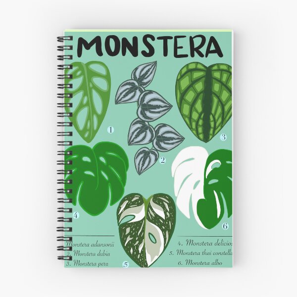 Item preview, Variedades de plantas de interior Monstera designed and sold by VibrantByNature.