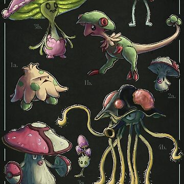 Artwork thumbnail, Fungimimidae Biological Illustration by Daniel Swain Creations