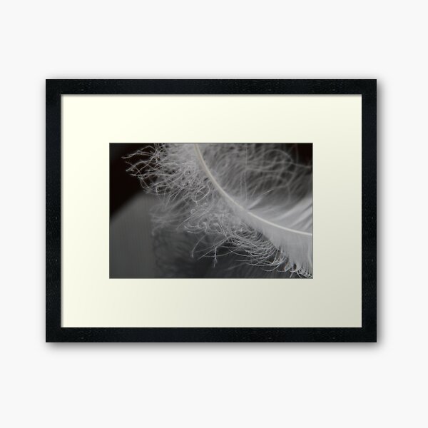 Item preview, Soft Feather Macro designed and sold by OrsalArt.