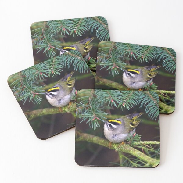 Item preview, Golden-Crowned Kinglet Causing a Stir in the Fir designed and sold by walkswithnature.