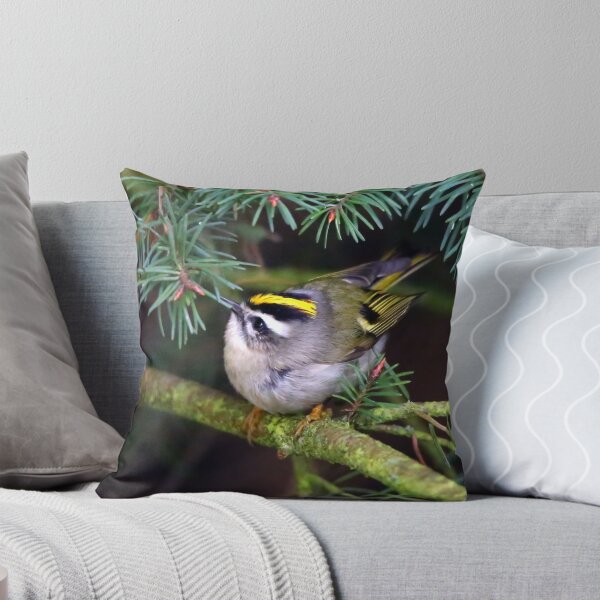 Item preview, Golden-Crowned Kinglet Causing a Stir in the Fir designed and sold by walkswithnature.