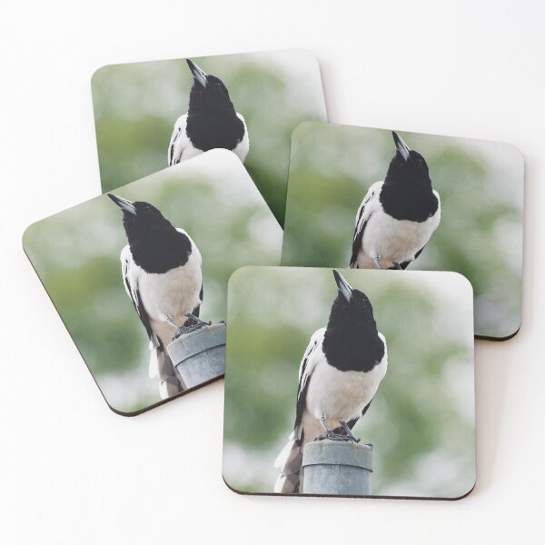 Item preview, Curiousity  designed and sold by KimberleyRenee.