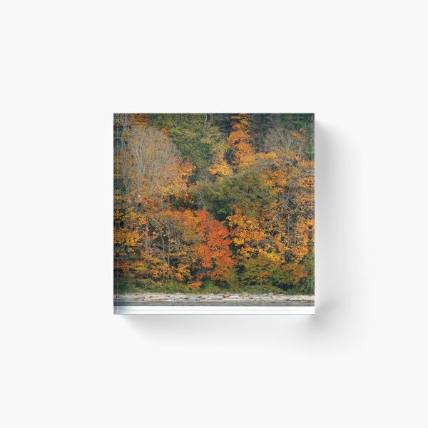 Item preview, An Autumn Symphony of Red, Yellow, Orange, and Green designed and sold by walkswithnature.