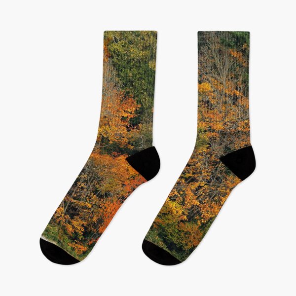 Item preview, An Autumn Symphony of Red, Yellow, Orange, and Green designed and sold by walkswithnature.