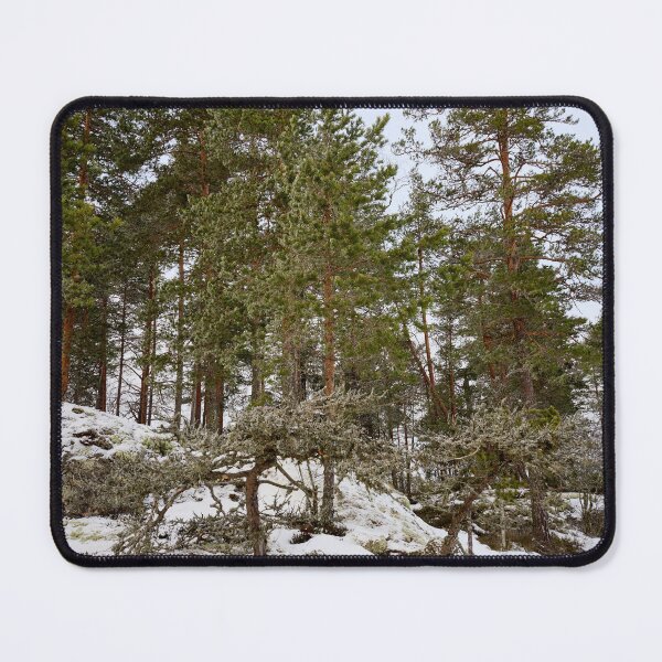 Item preview, Natural bonzai. Haukkajarvi designed and sold by Jouko Lehto Photography.
