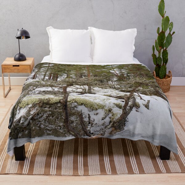 Item preview, Natural bonzai. Haukkajarvi designed and sold by Jouko Lehto Photography.
