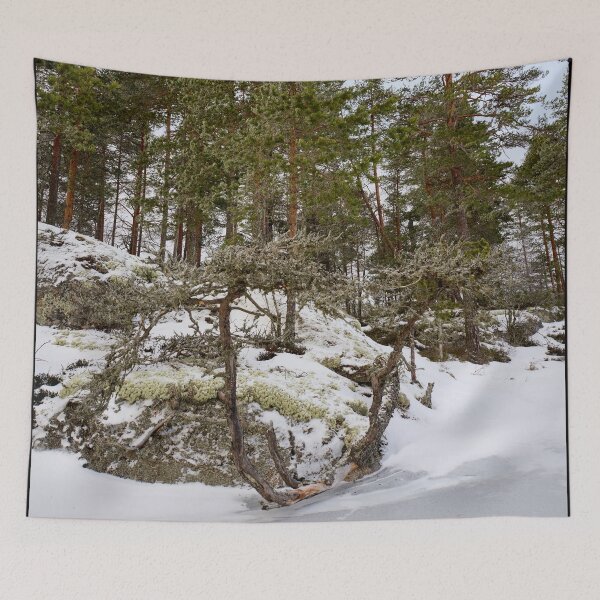 Item preview, Natural bonzai. Haukkajarvi designed and sold by Jouko Lehto Photography.