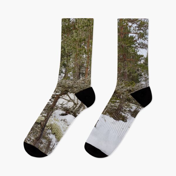 Item preview, Natural bonzai. Haukkajarvi designed and sold by Jouko Lehto Photography.