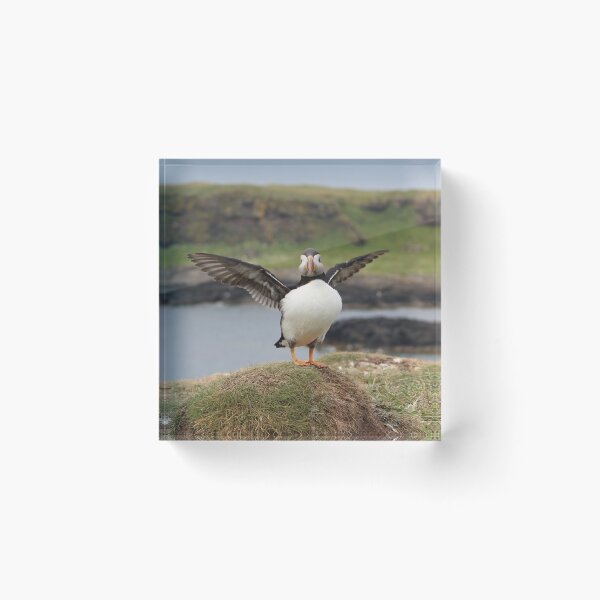 Item preview, Fluffin' Puffin designed and sold by tartancow.