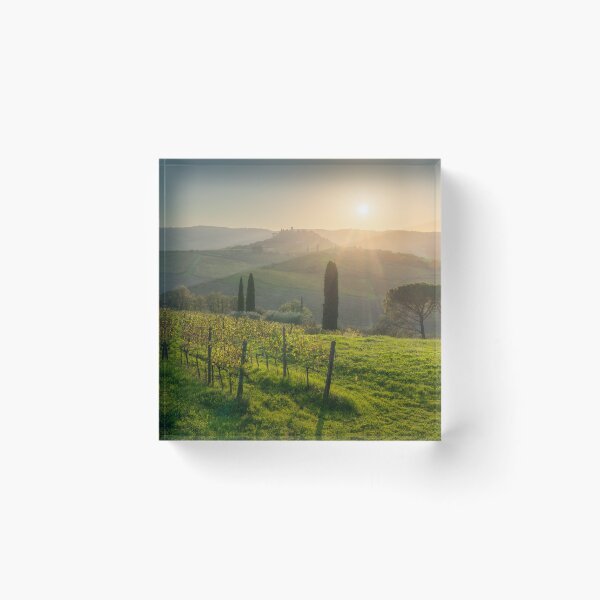 Item preview, Chianti vineyards landscape. Tuscany, Italy designed and sold by Stefano Orazzini.