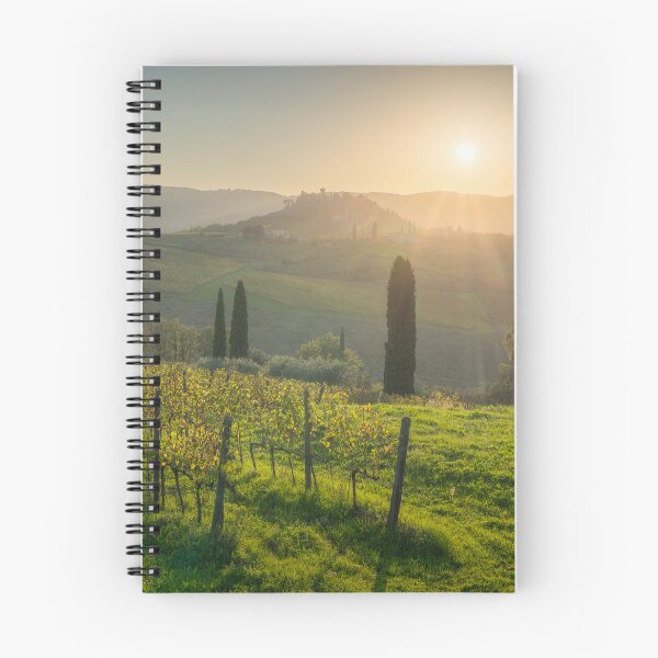 Item preview, Chianti vineyards landscape. Tuscany, Italy designed and sold by Stefano Orazzini.