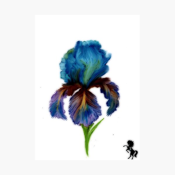 Item preview, Bella the Iris designed and sold by Ten Sage Designs.
